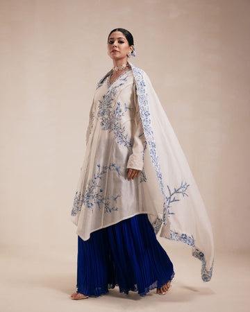 Ivory Chanderi Anarkali with Blue Embroidery